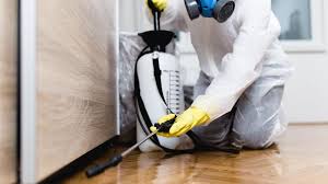 Emergency Pest Control in Jacinto City, TX